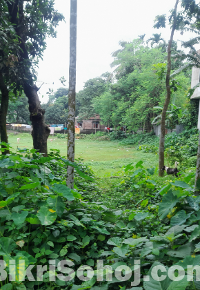 Extensive land sale adjacent to SKS Inn Resort-  Gaibandha